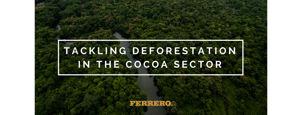 Our commitment to tackle deforestation in the cocoa sector