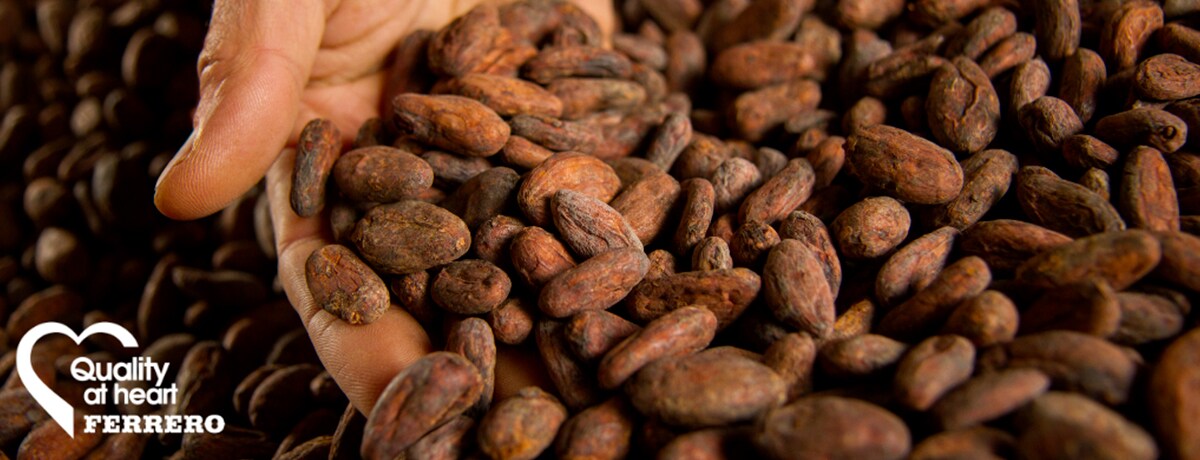 Quality at Heart: Our approach to sourcing cocoa