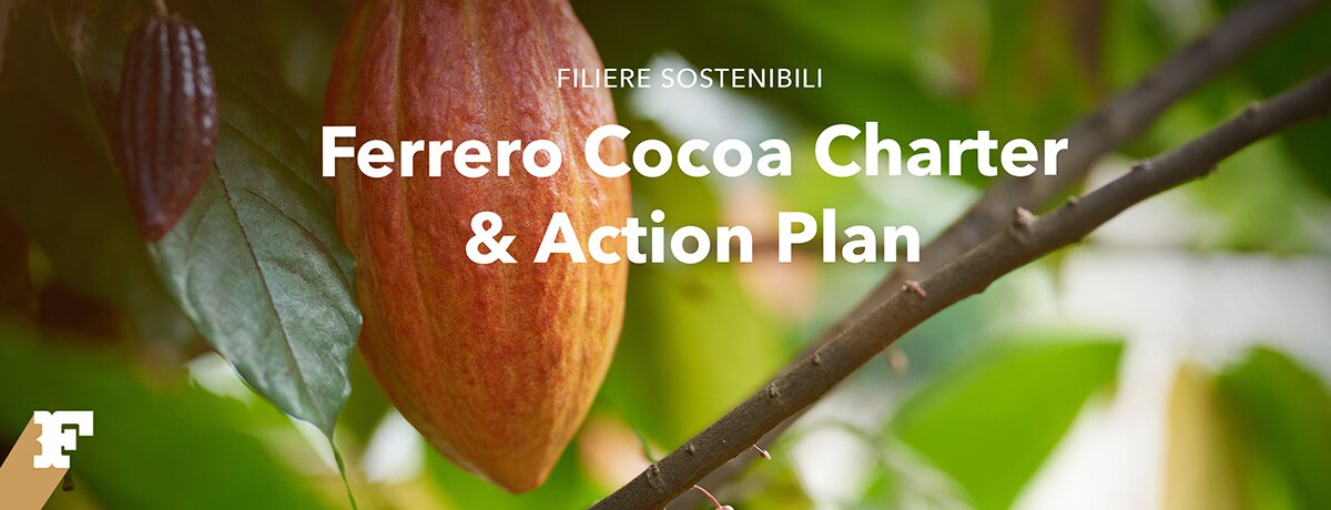 Ferrero Cocoa Charter & Action Plan