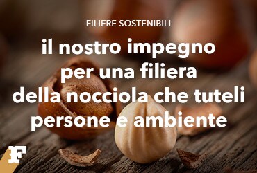 Ferrero Hazelnut Charter & Action Plan