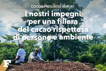 Filiera del cacao